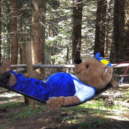 Dachstein West Hotel Gmbh-Kirchenwirt Russbach ルスバッハ・アム・パス・クシュット エクステリア 写真
