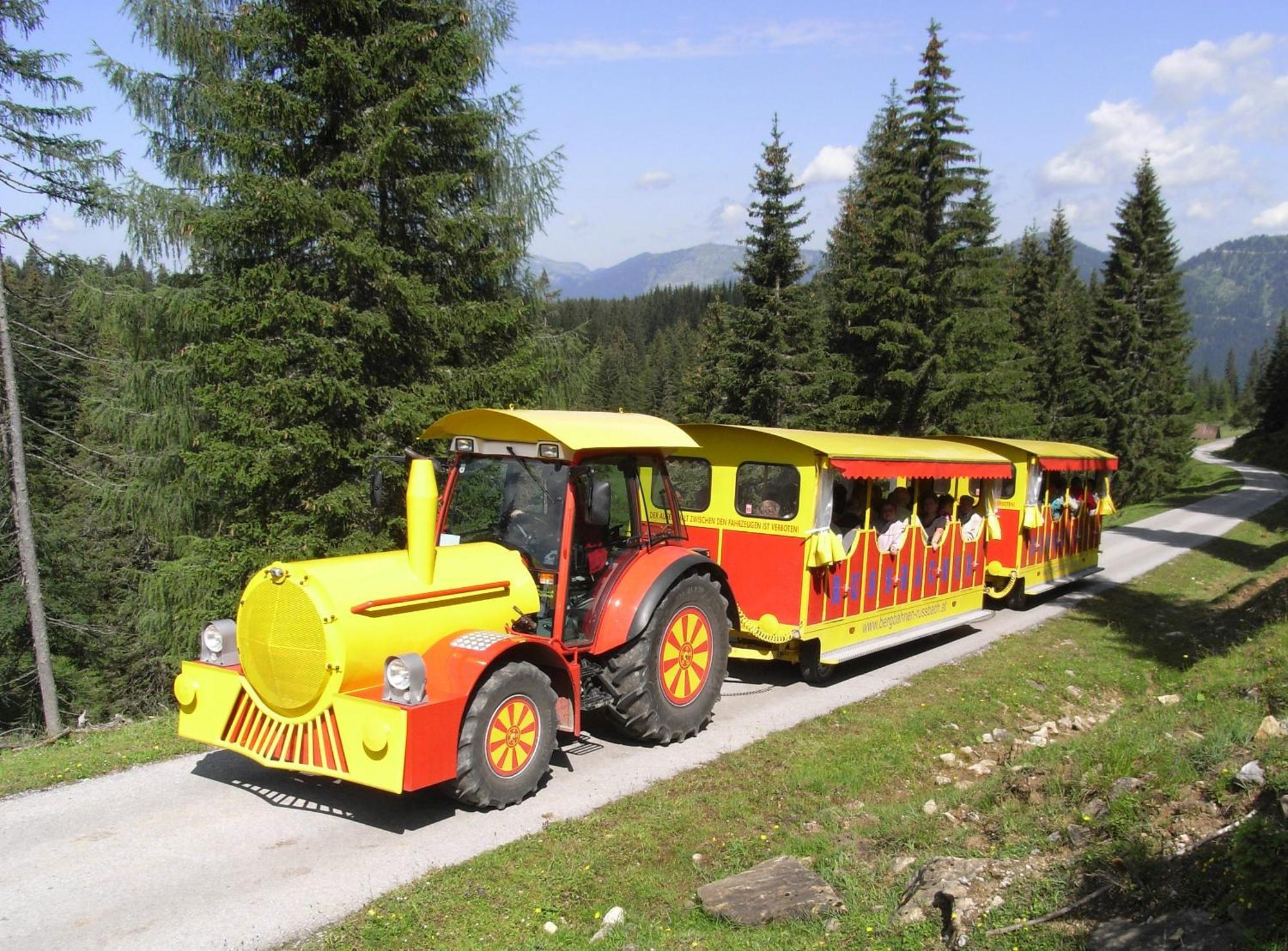 Dachstein West Hotel Gmbh-Kirchenwirt Russbach ルスバッハ・アム・パス・クシュット エクステリア 写真